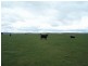 (Lot 1) 354 Painters Lane, Goulburn NSW 2580