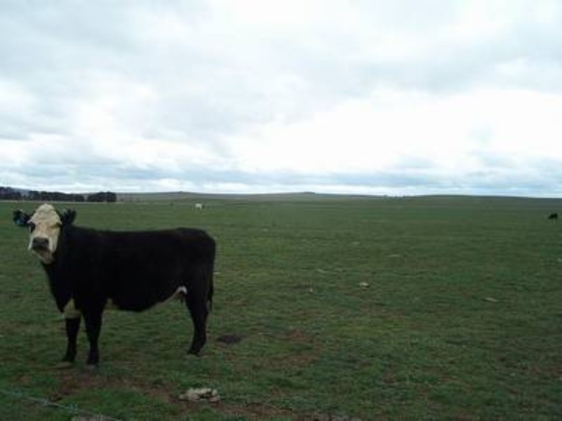 (Lot 1) 354 Painters Lane, Goulburn NSW 2580