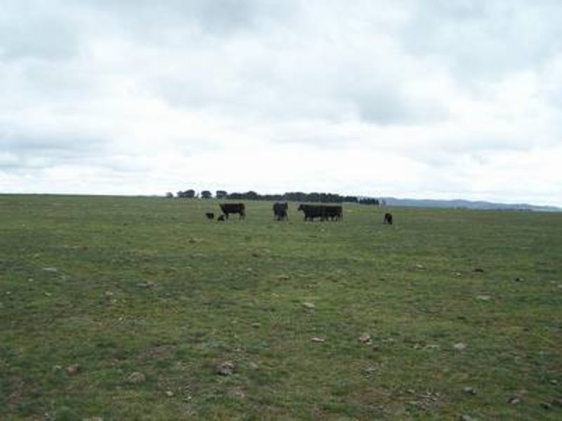 (Lot 2) 354 Painters Lane, Goulburn NSW 2580