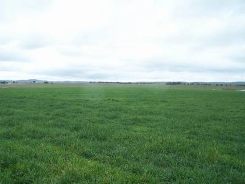 (Lot 2) 354 Painters Lane, Goulburn NSW 2580