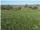 Lot 1 Iron Mine Road, Crookwell NSW 2583