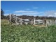 475 Thornford Road, Yarra NSW 2580