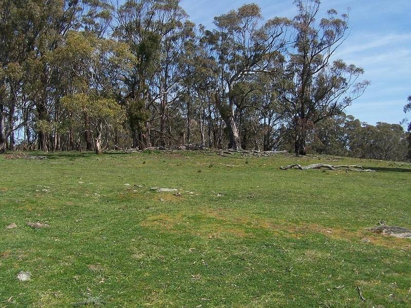 125 Cobbodong Road, Taralga NSW 2580