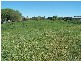 49 Church Street, Taralga NSW 2580
