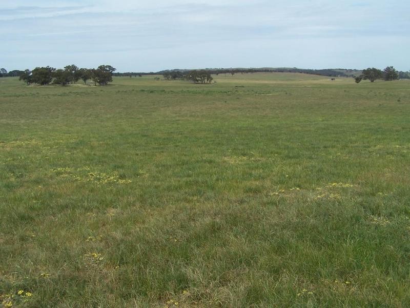 Lot 1 Bannister Lane, Gurrundah NSW 2581