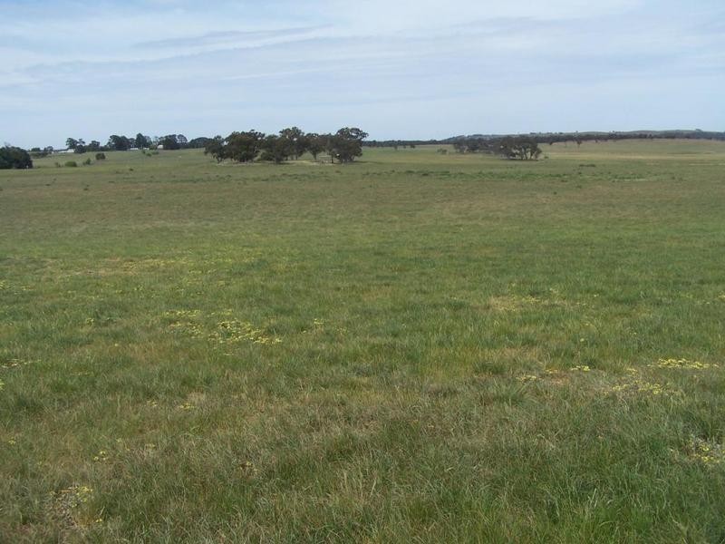 Lot 1 Bannister Lane, Gurrundah NSW 2581