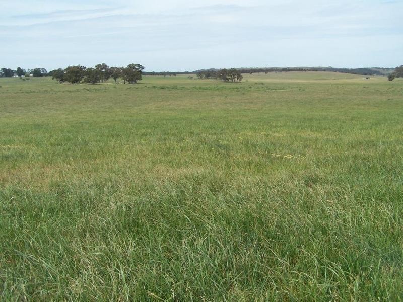 Lot 1 Bannister Lane, Gurrundah NSW 2581