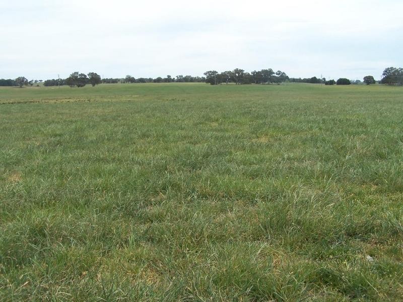 Lot 1 Bannister Lane, Gurrundah NSW 2581