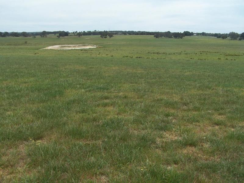 Lot 1 Bannister Lane, Gurrundah NSW 2581