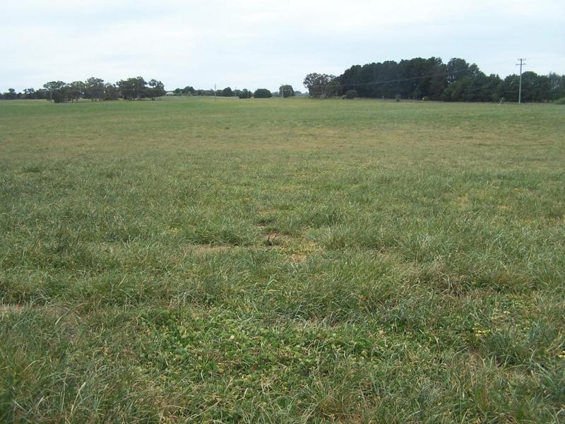 Lot 1 Bannister Lane, Gurrundah NSW 2581