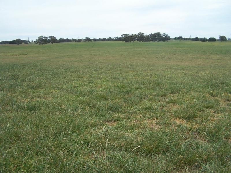 Lot 1 Bannister Lane, Gurrundah NSW 2581