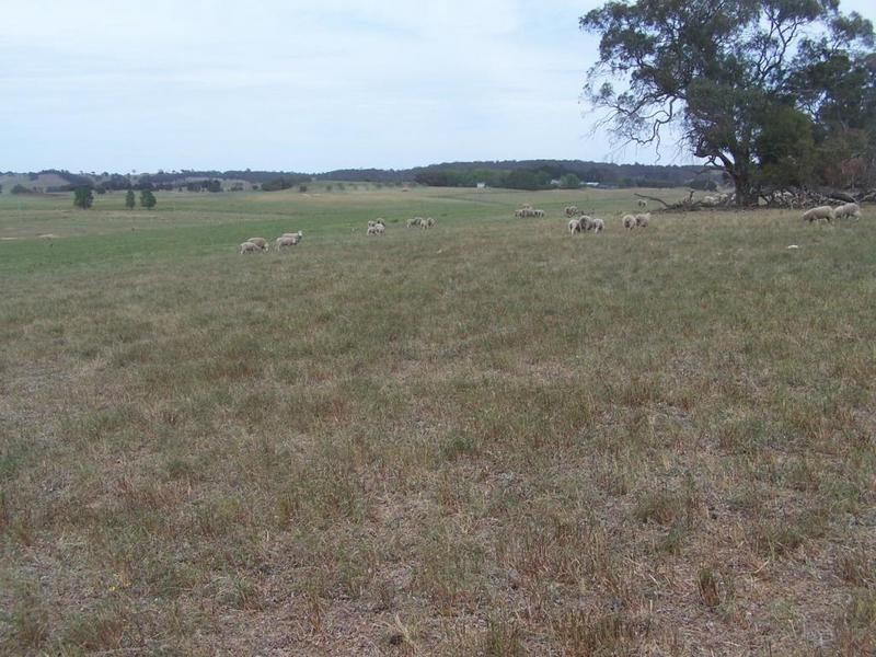Lot 1 Bannister Lane, Gurrundah NSW 2581