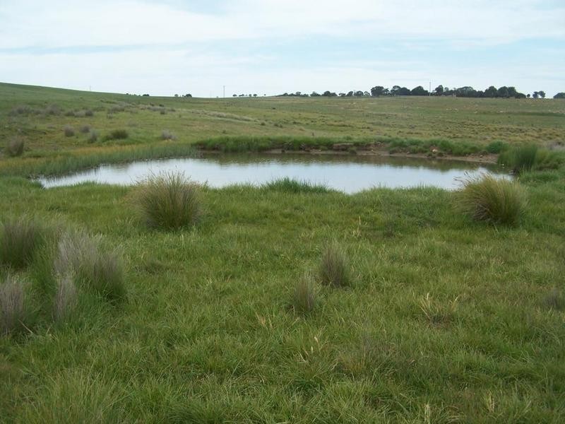 Lot 1 Bannister Lane, Gurrundah NSW 2581