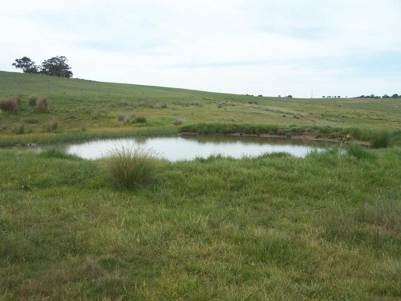 Lot 1 Bannister Lane, Gurrundah NSW 2581