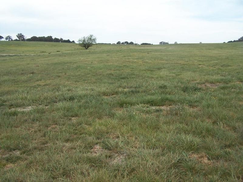 Lot 1 Bannister Lane, Gurrundah NSW 2581