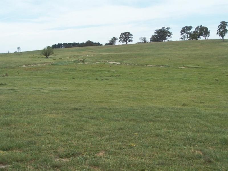 Lot 1 Bannister Lane, Gurrundah NSW 2581