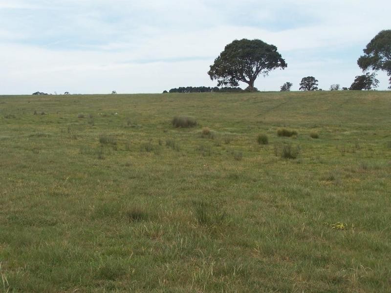 Lot 1 Bannister Lane, Gurrundah NSW 2581