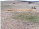 Lot 2 Rhyanna Estate, Goulburn NSW 2580