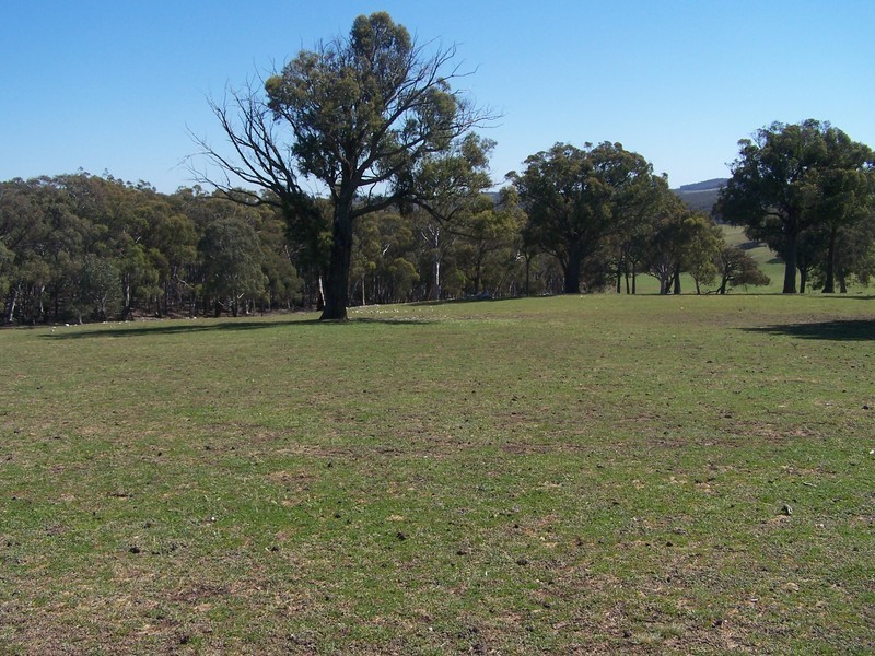 117 Karinya Road, Binda NSW 2583