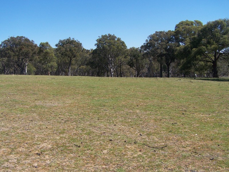 117 Karinya Road, Binda NSW 2583