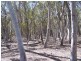 117 Karinya Road, Binda NSW 2583