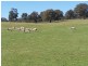 117 Karinya Road, Binda NSW 2583