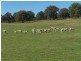 117 Karinya Road, Binda NSW 2583