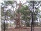 Lot 1 Pontilla Lane, Goulburn NSW 2580