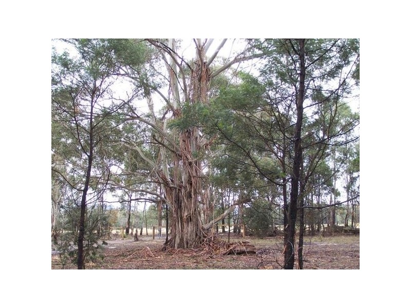 Lot 1 Pontilla Lane, Goulburn NSW 2580