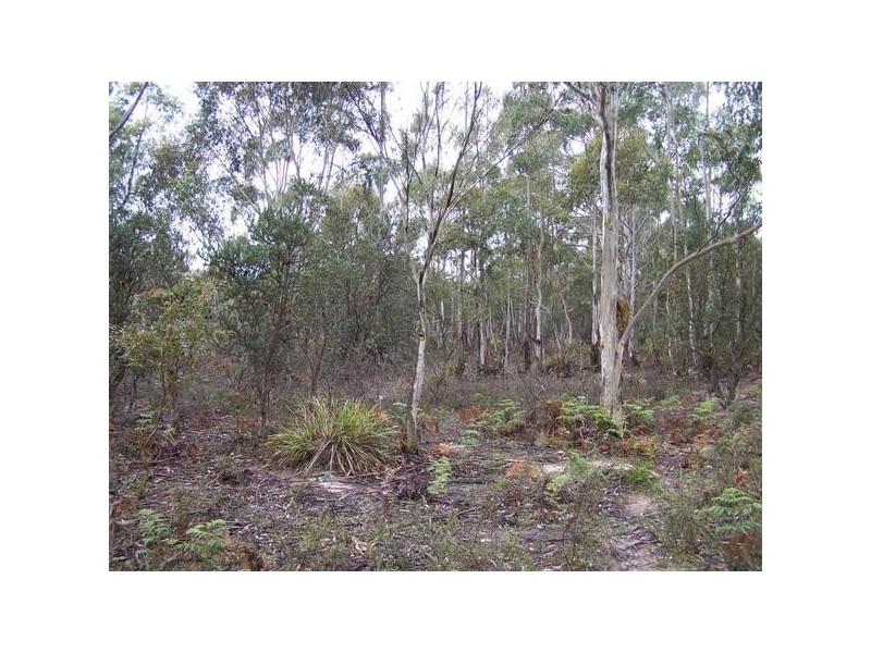 Lot 1 Pontilla Lane, Goulburn NSW 2580