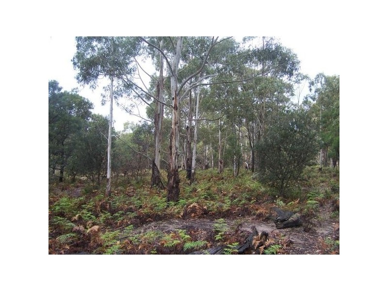 Lot 1 Pontilla Lane, Goulburn NSW 2580