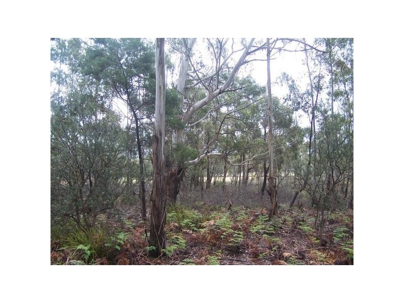 Lot 1 Pontilla Lane, Goulburn NSW 2580