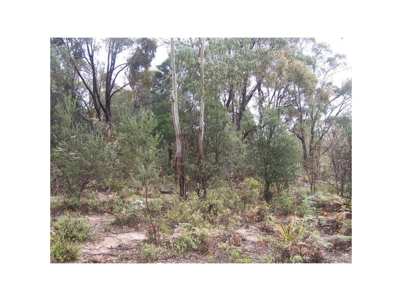 Lot 1 Pontilla Lane, Goulburn NSW 2580