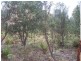 Lot 1 Pontilla Lane, Goulburn NSW 2580
