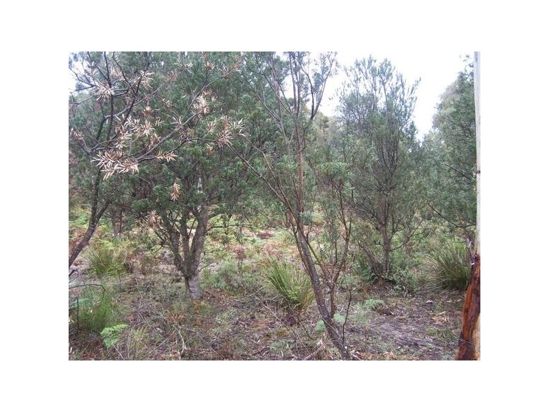 Lot 1 Pontilla Lane, Goulburn NSW 2580