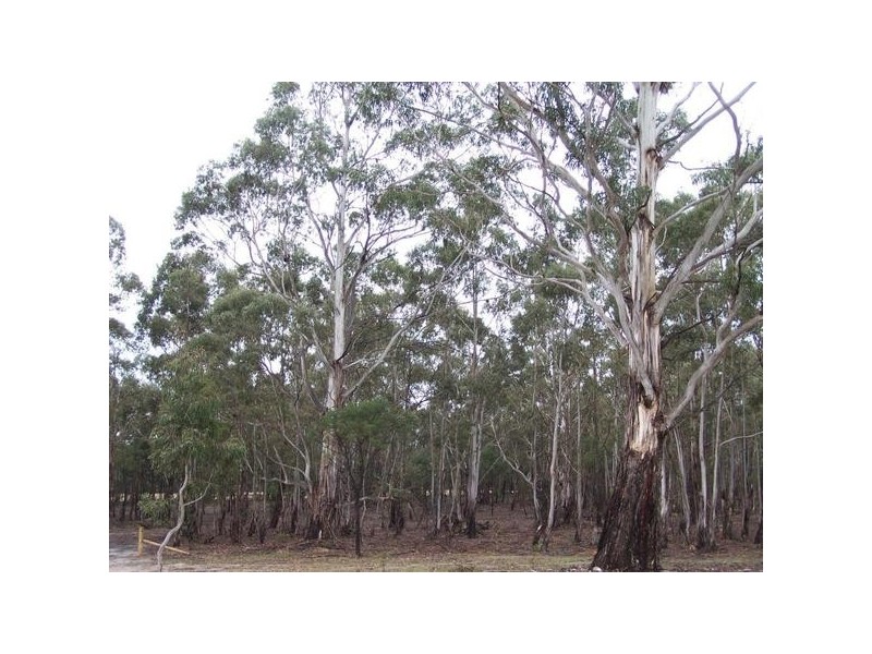 Lot 1 Pontilla Lane, Goulburn NSW 2580