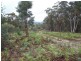 Lot 1 Pontilla Lane, Goulburn NSW 2580