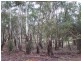 Lot 1 Pontilla Lane, Goulburn NSW 2580