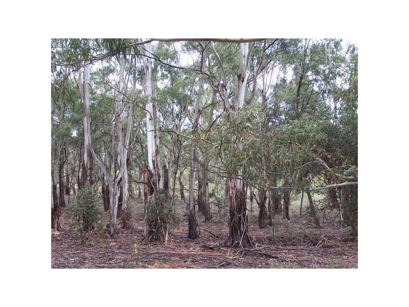Lot 1 Pontilla Lane, Goulburn NSW 2580