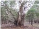 Lot 1 Pontilla Lane, Goulburn NSW 2580