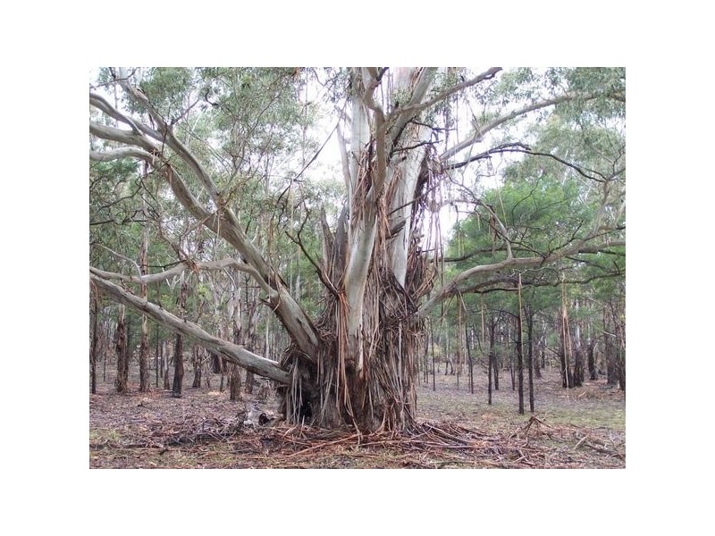 Lot 1 Pontilla Lane, Goulburn NSW 2580