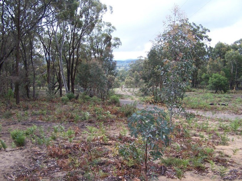 Lot 2 Pontilla Lane, Goulburn NSW 2580