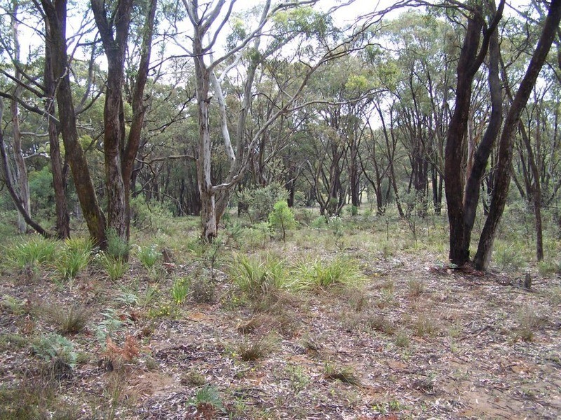 Lot 2 Pontilla Lane, Goulburn NSW 2580