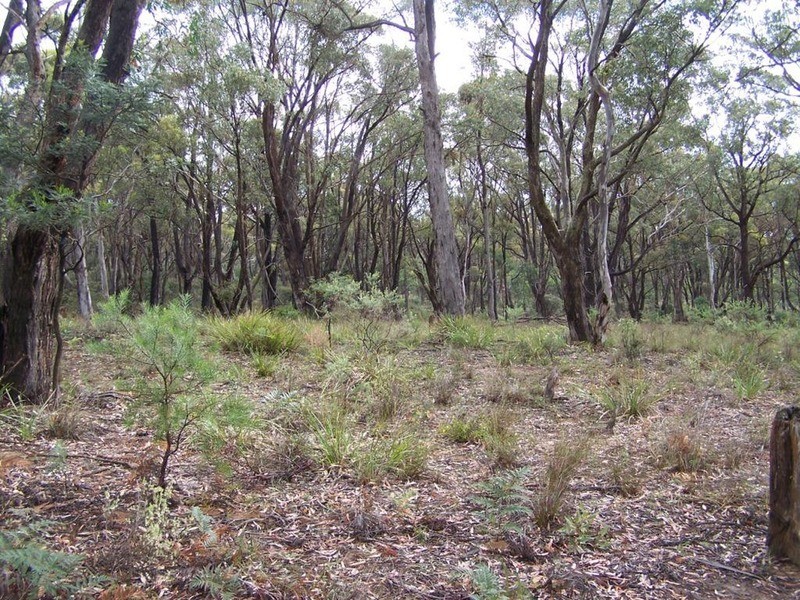 Lot 2 Pontilla Lane, Goulburn NSW 2580