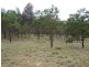 Lot 2 Pontilla Lane, Goulburn NSW 2580