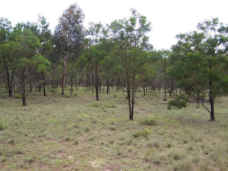Lot 2 Pontilla Lane, Goulburn NSW 2580