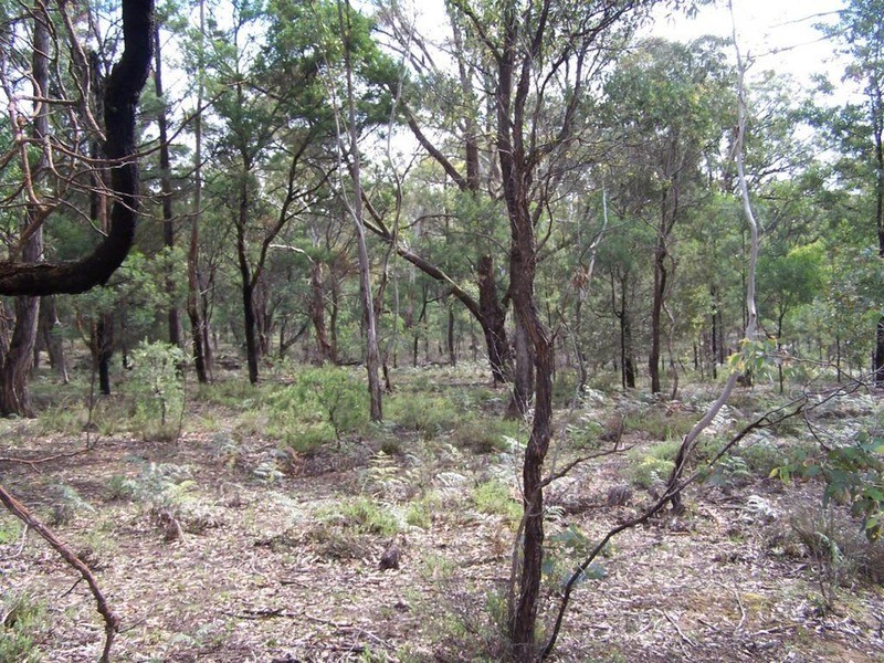 Lot 2 Pontilla Lane, Goulburn NSW 2580