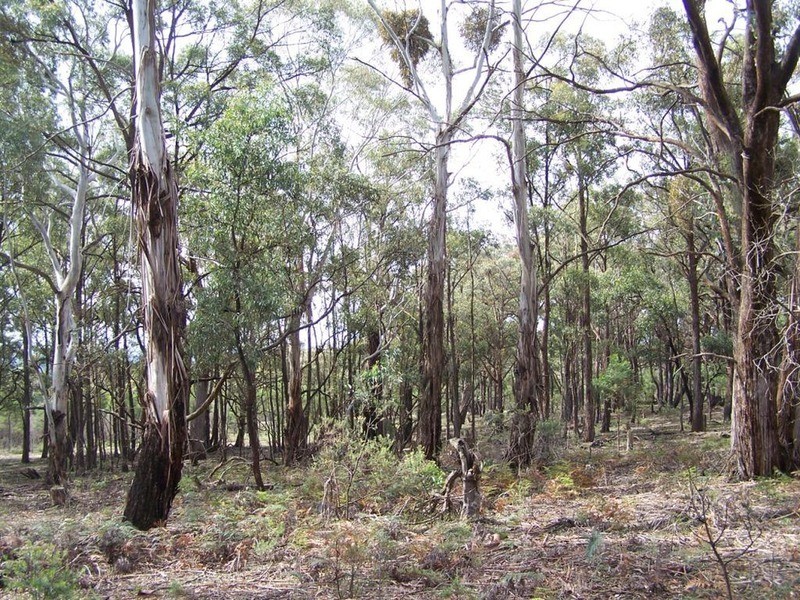 Lot 2 Pontilla Lane, Goulburn NSW 2580
