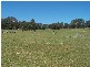 Lot 2 Lost River Road, Wheeo NSW 2583