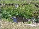 Lot 2 Lost River Road, Wheeo NSW 2583